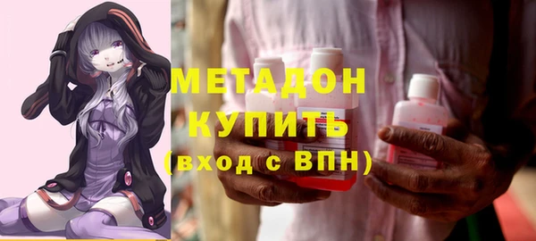 стаф Алзамай