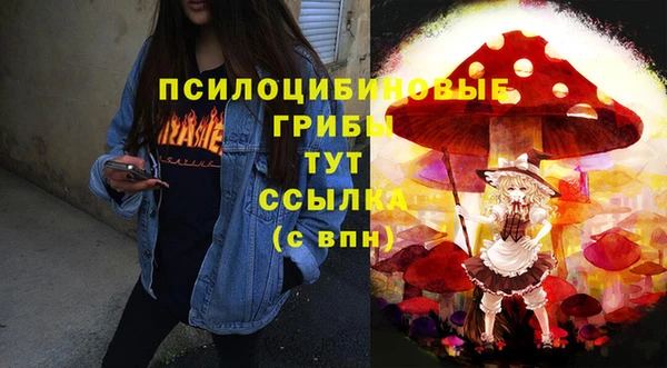 стаф Алзамай