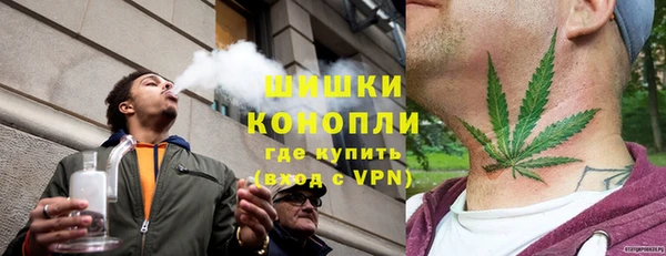 ПСИЛОЦИБИНОВЫЕ ГРИБЫ Алексин