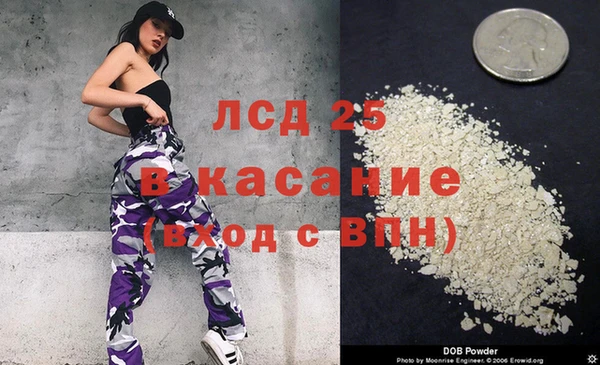 ПСИЛОЦИБИНОВЫЕ ГРИБЫ Алексин