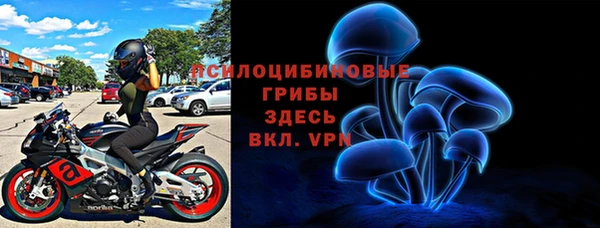 стаф Алзамай