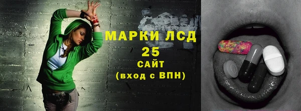 ПСИЛОЦИБИНОВЫЕ ГРИБЫ Алексин